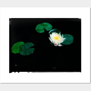 Flower Floating Posters and Art